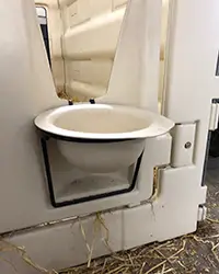 Using a shallow dish brings the feed floor to the level where a young calf can reach feed comfortably. These are recommended for calves less than 3 weeks old and help get the calf started on grain.  Calves only need a handful of grain on day three; this amount should gradually increase with calves’ intakes.  As grain consumption increases, the shallow dish becomes too small for the amount of feed they need to consume. Older calves may also waste feed as they push it out of the dish.