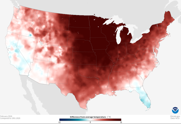 How will the warm and dry winter affect spring forages? - Vita Plus