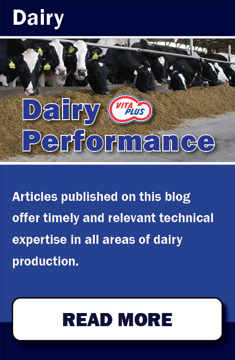 Dairy Performance- Our Online Resources