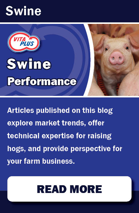 Swine Performance - Our Online Resources